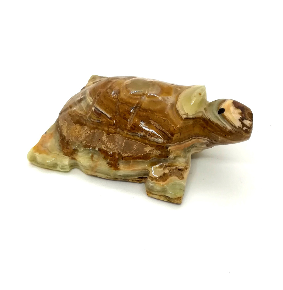 Черепаха Сувенир_